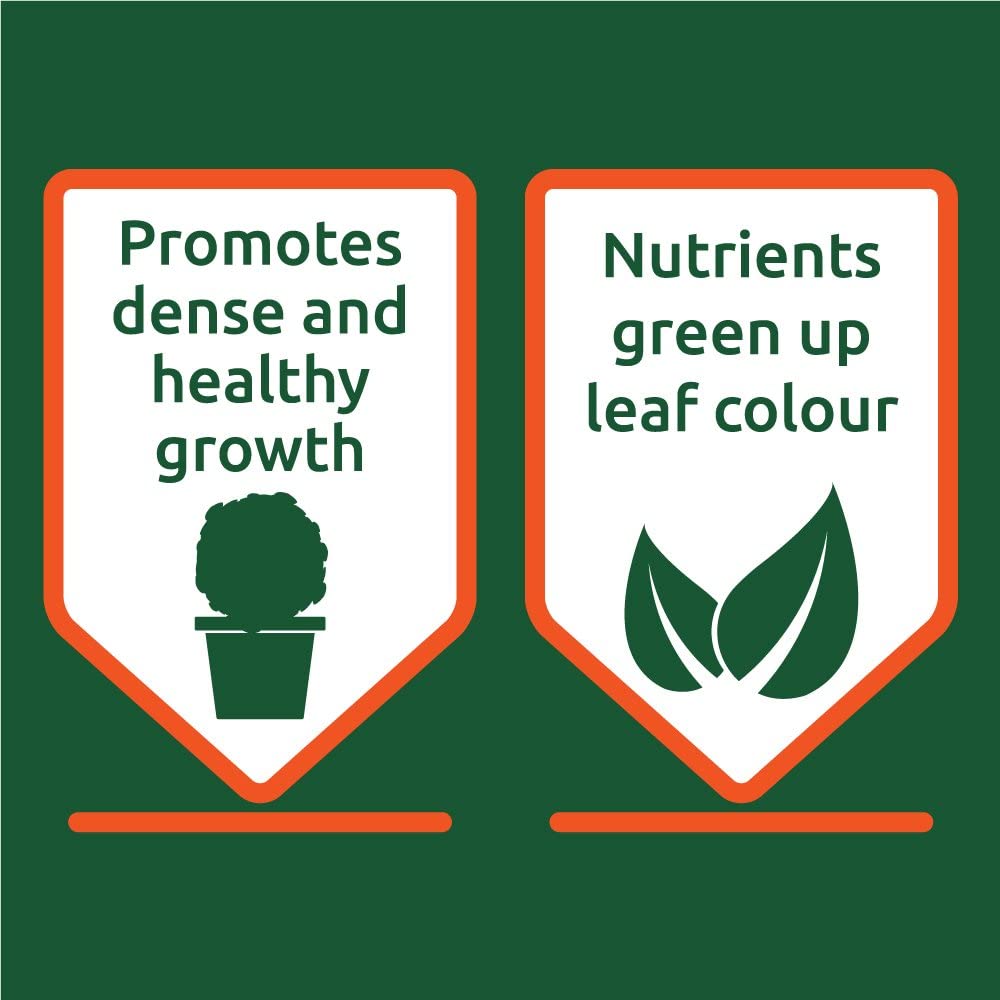 Vitax Buxus Futter 1 kg