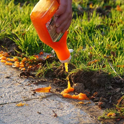 Defenders Katzen- und Hundeabwehr-Kristallgel (Traditionelle, effektive und tierschutzgerechte Behandlung, hält Katzen und Hunde von Garten und Terrasse fern, deckt bis zu 40 m² ab) - STV619