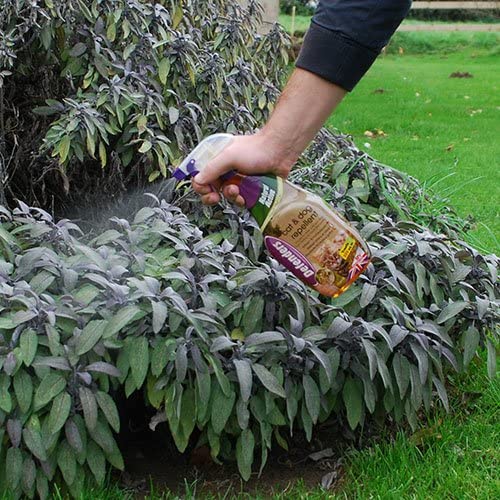 Defenders STV625 Katzen- und Hundeabwehrspray 1 Liter, Gartenkatzenabwehrmittel