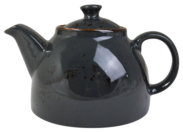 Orion Elements 20oz 570ml Teapot- Slate Grey