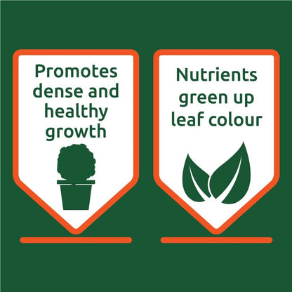 Vitax Buxus Futter 1 kg